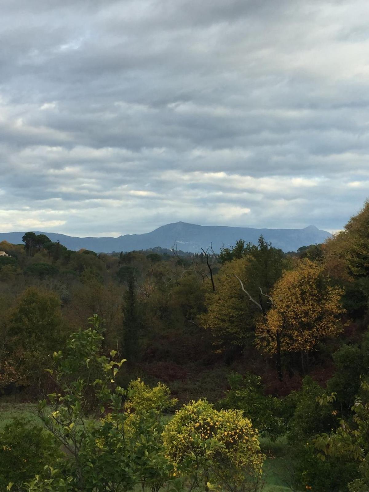 Zoe A Mountaintop Retreat Apartment *