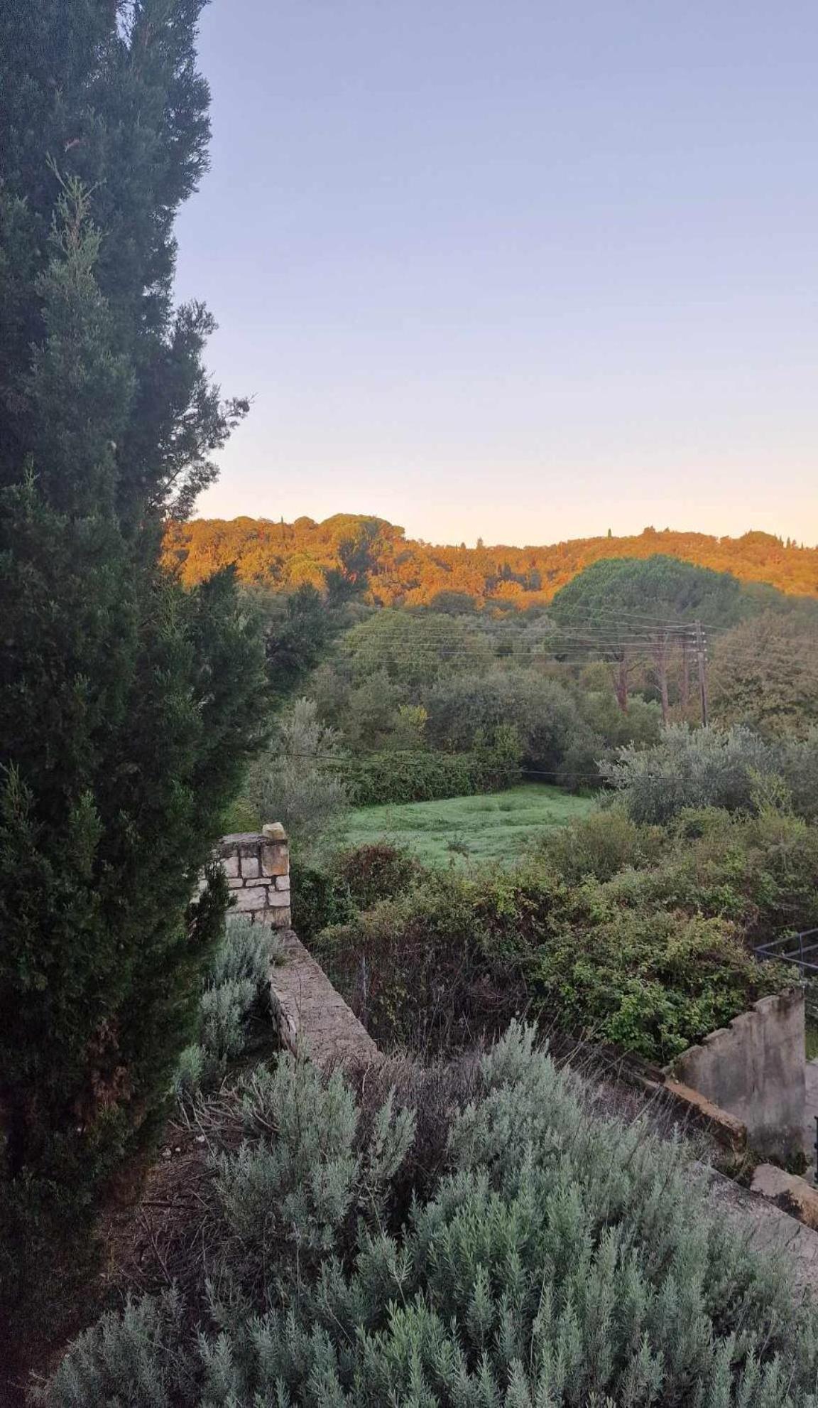 Apartment Zoe A Mountaintop Retreat